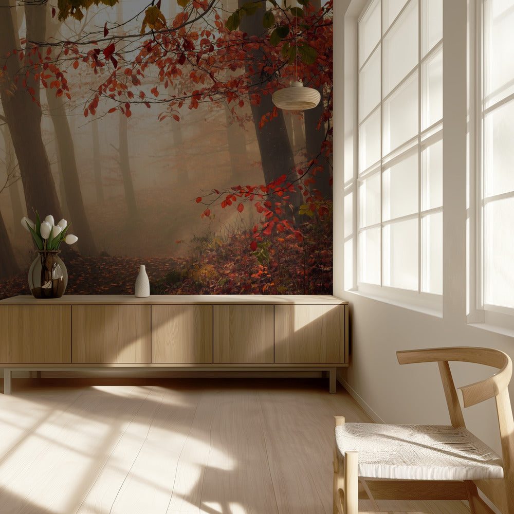 Towards the light. | Wallpaper