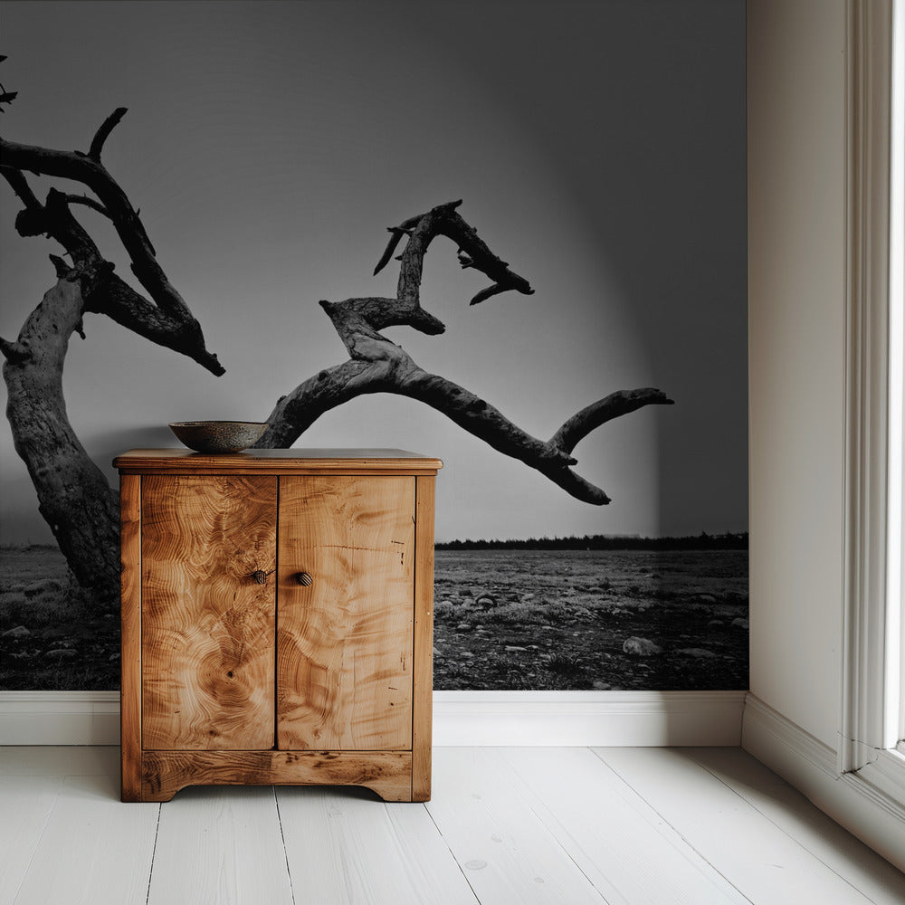 Old Man and Tree | Wallpaper