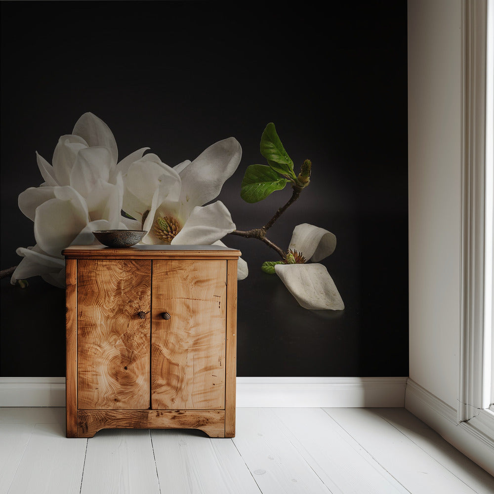 Magnolia | Wallpaper