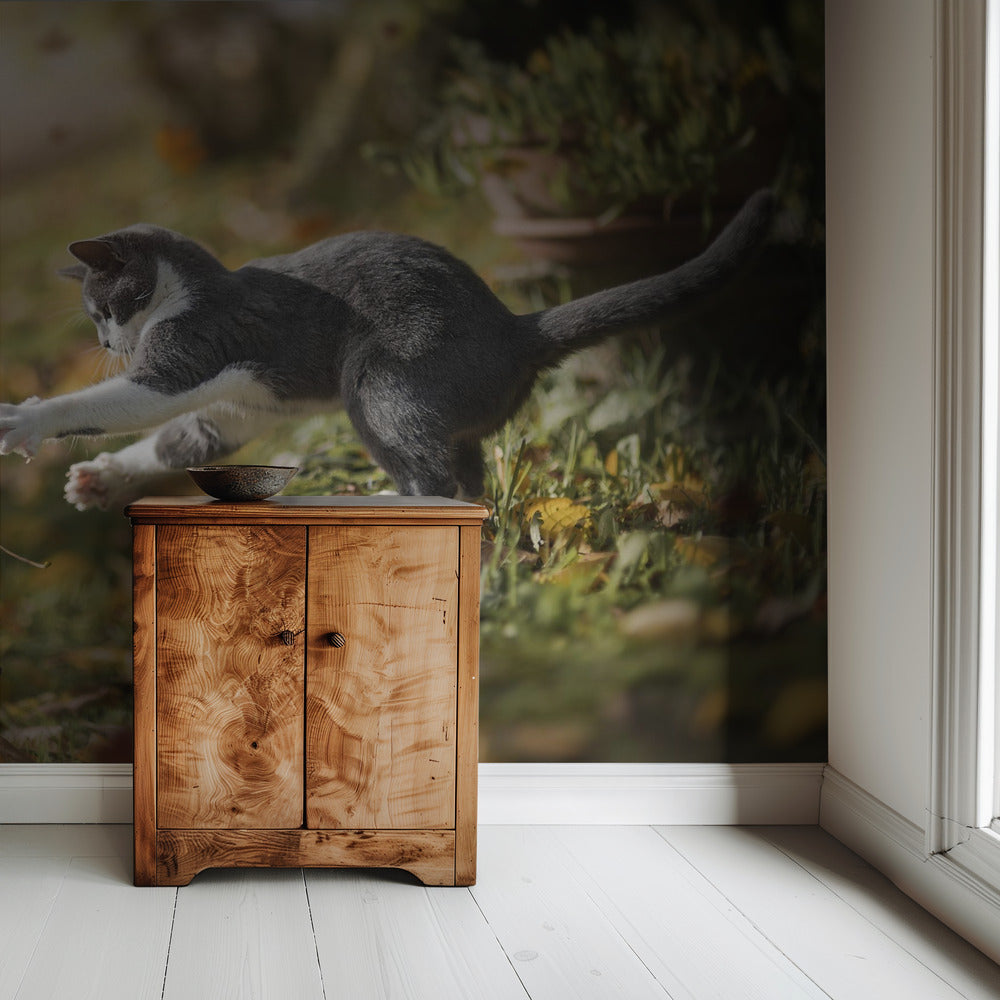 Autumn Play | Wallpaper