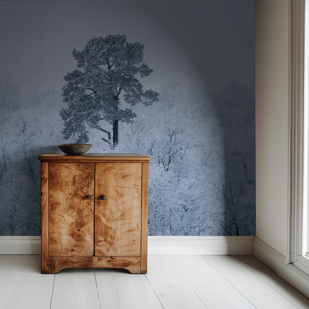 First snow | Wallpaper