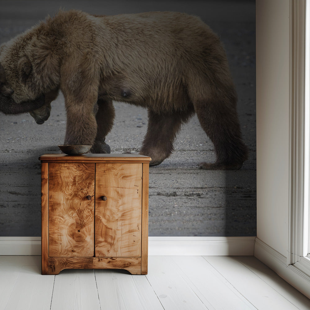 A Little Bear Hug | Wallpaper