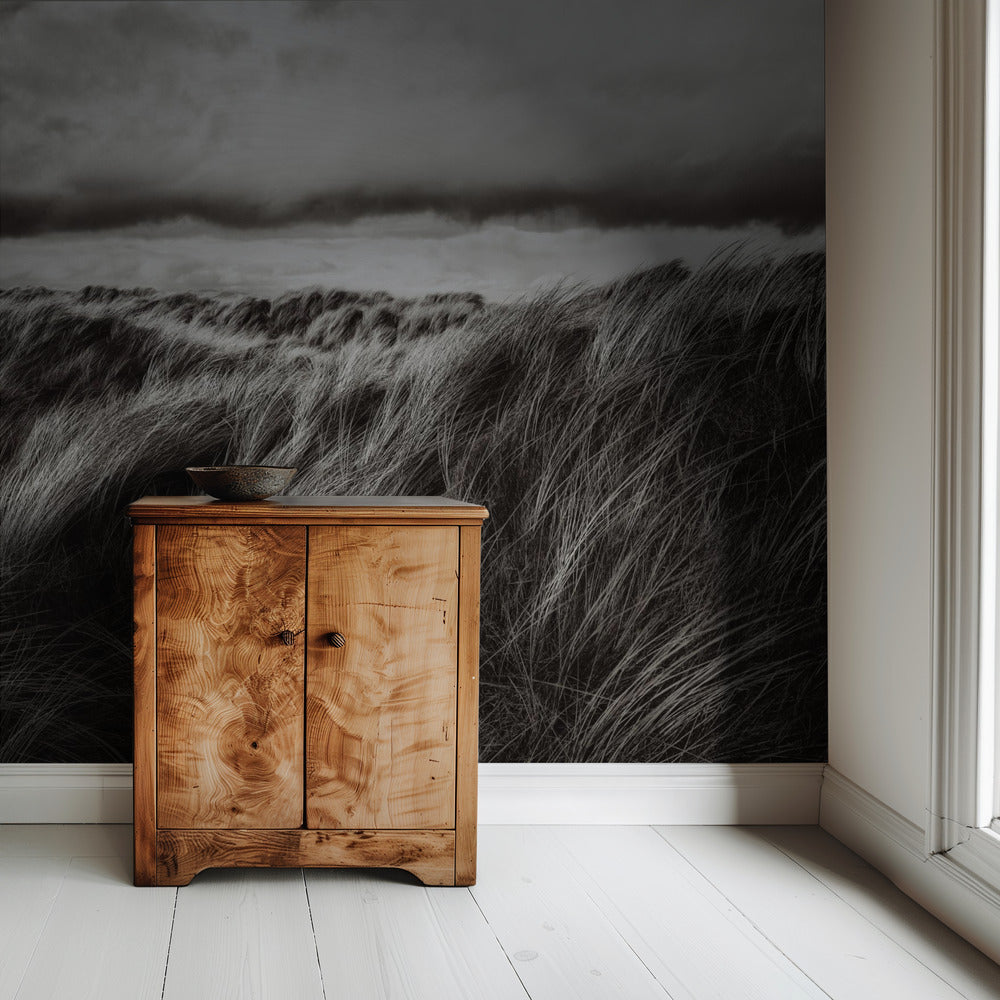 Dunes of grass | Wallpaper