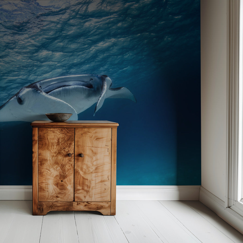 Manta ray | Wallpaper