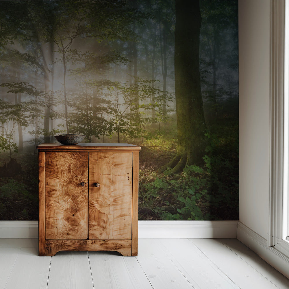 morning sun | Wallpaper