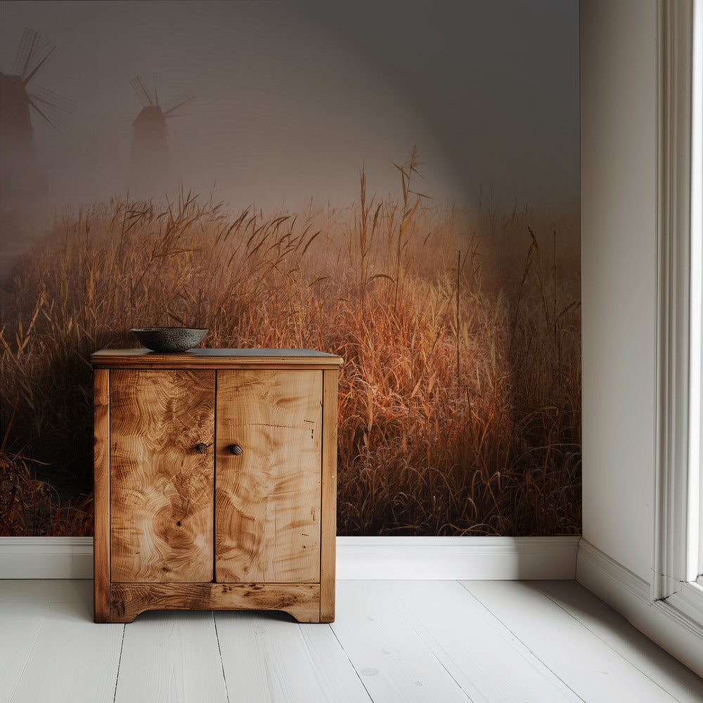 Morning mist | Wallpaper