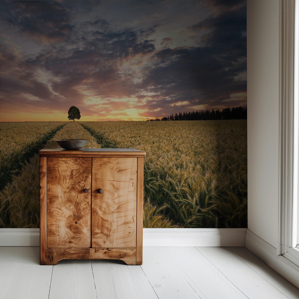 Field of dreams | Wallpaper