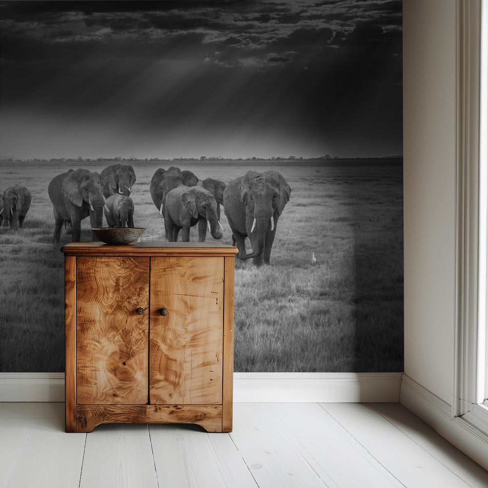 Breakfast with pachyderms | Wallpaper