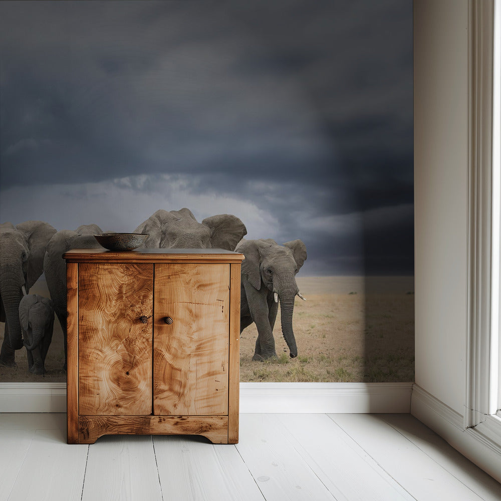 Elephant Walk | Wallpaper