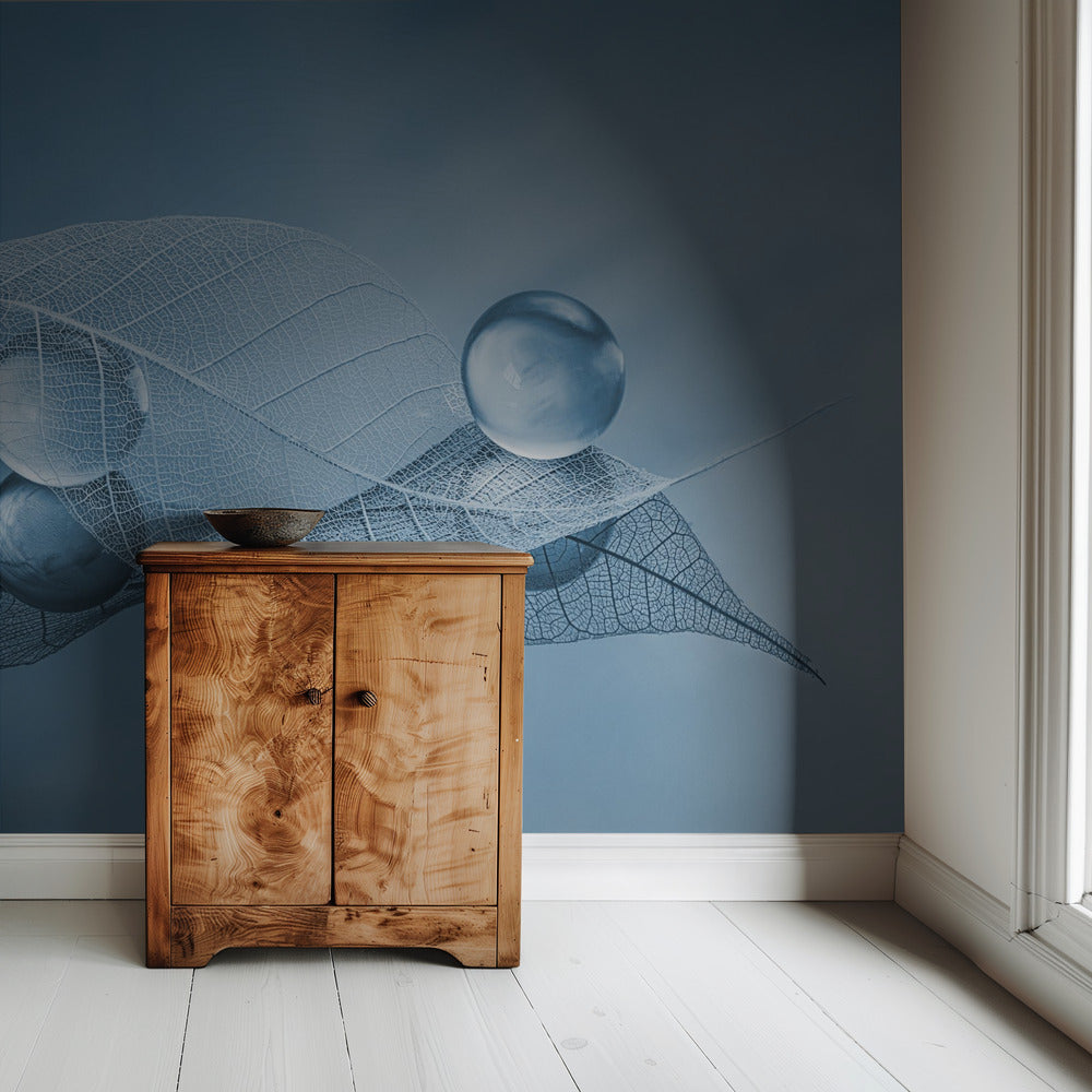 Dry leaf and Bubbles | Wallpaper