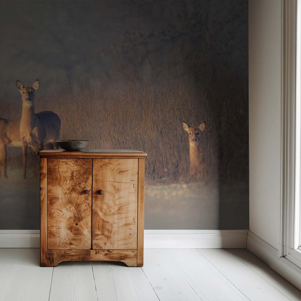 Three Deer | Wallpaper