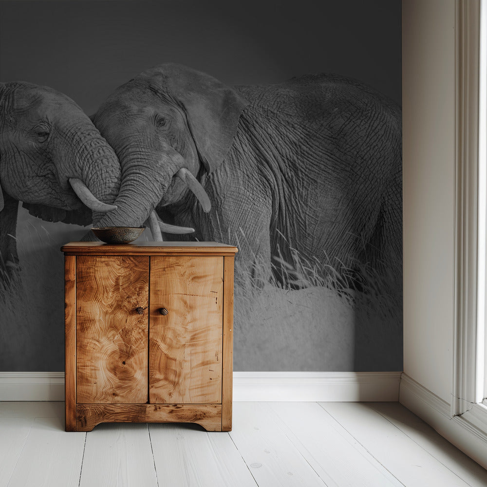 Elephant Flight | Wallpaper