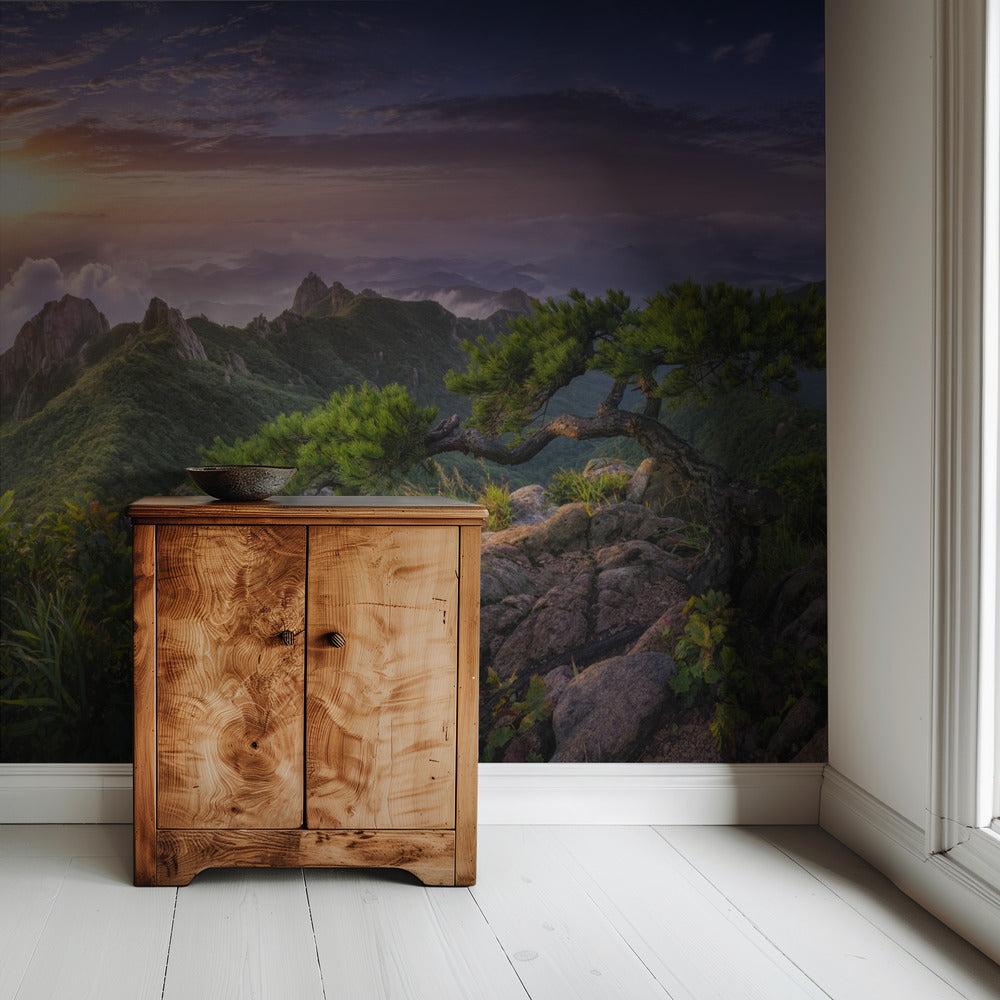 Pine tree on the rock | Wallpaper