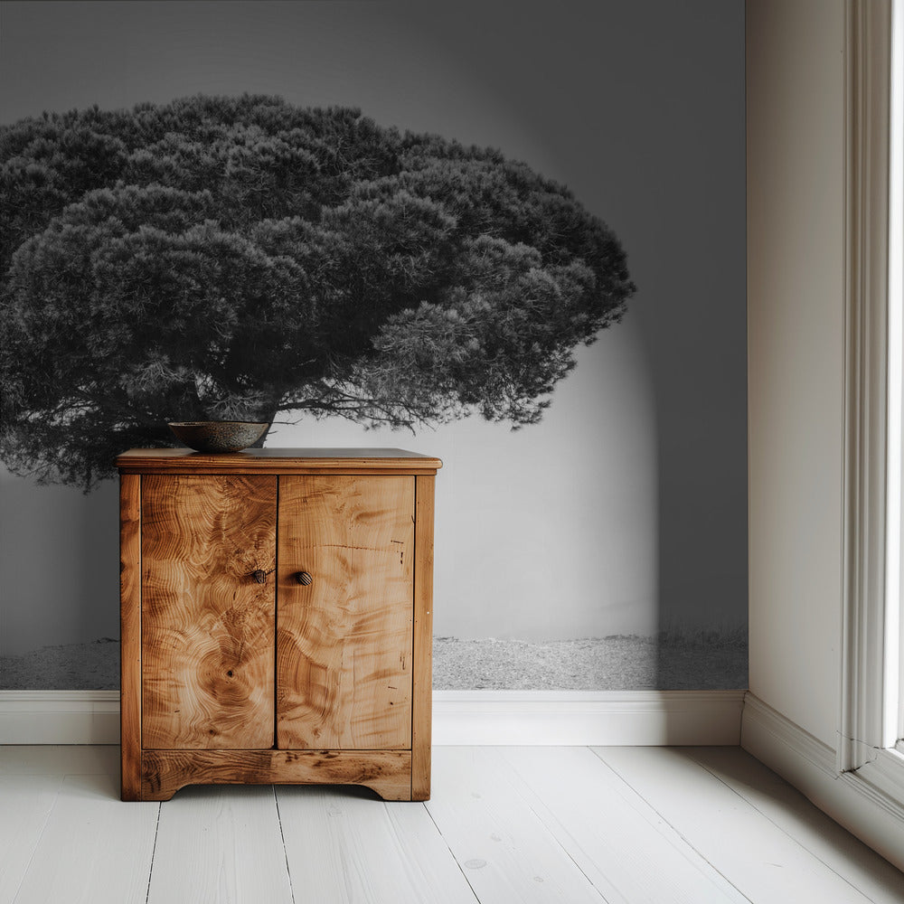TREE | Wallpaper