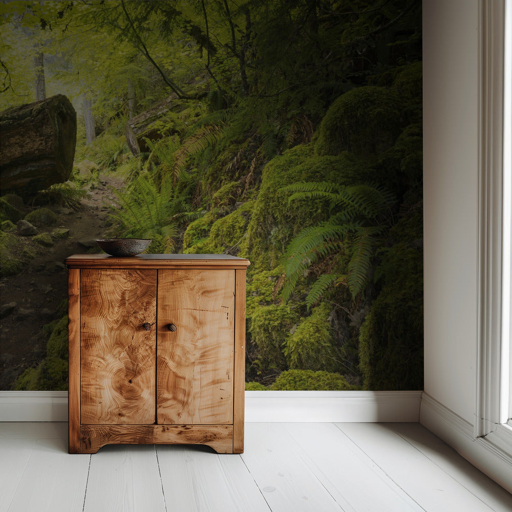 Mossy Path | Wallpaper
