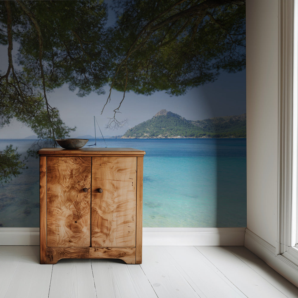 Dreaming of the Sea | Wallpaper