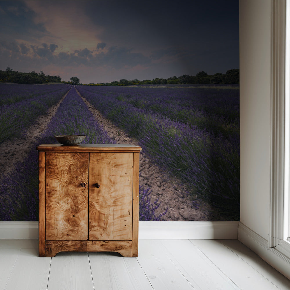 Blue Lavender | Wallpaper