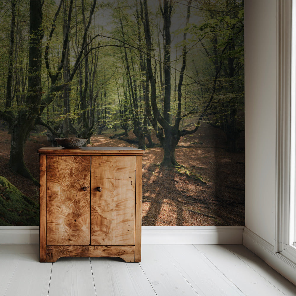 Forest Love | Wallpaper