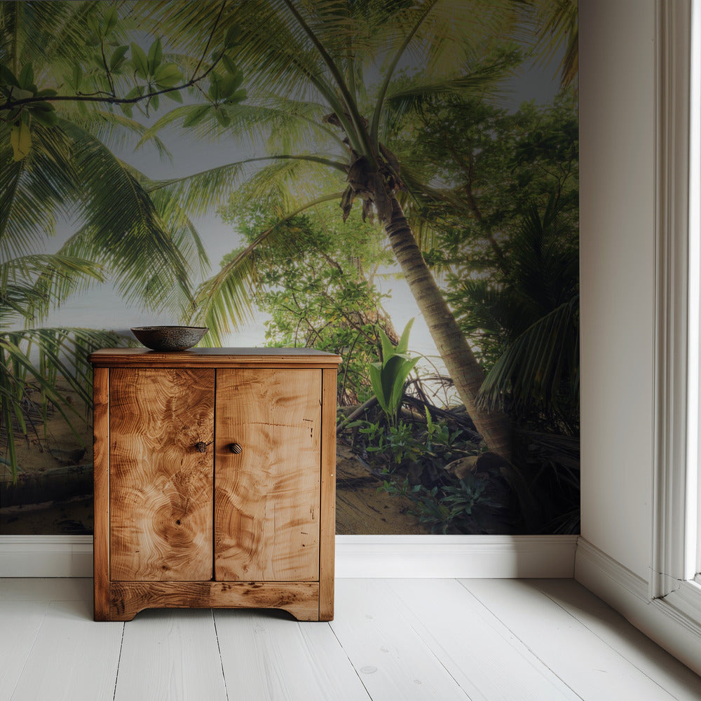 Pirates Nest | Wallpaper