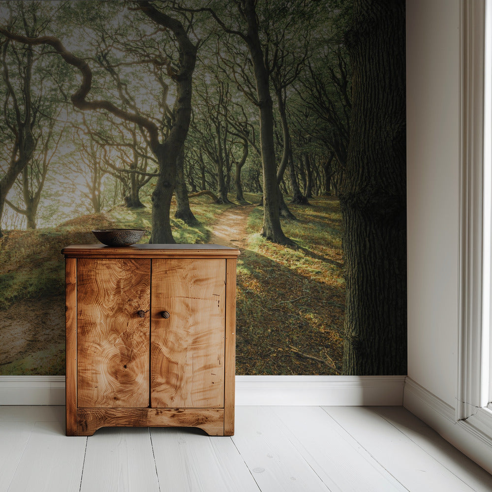 Magic Beech Wood | Wallpaper