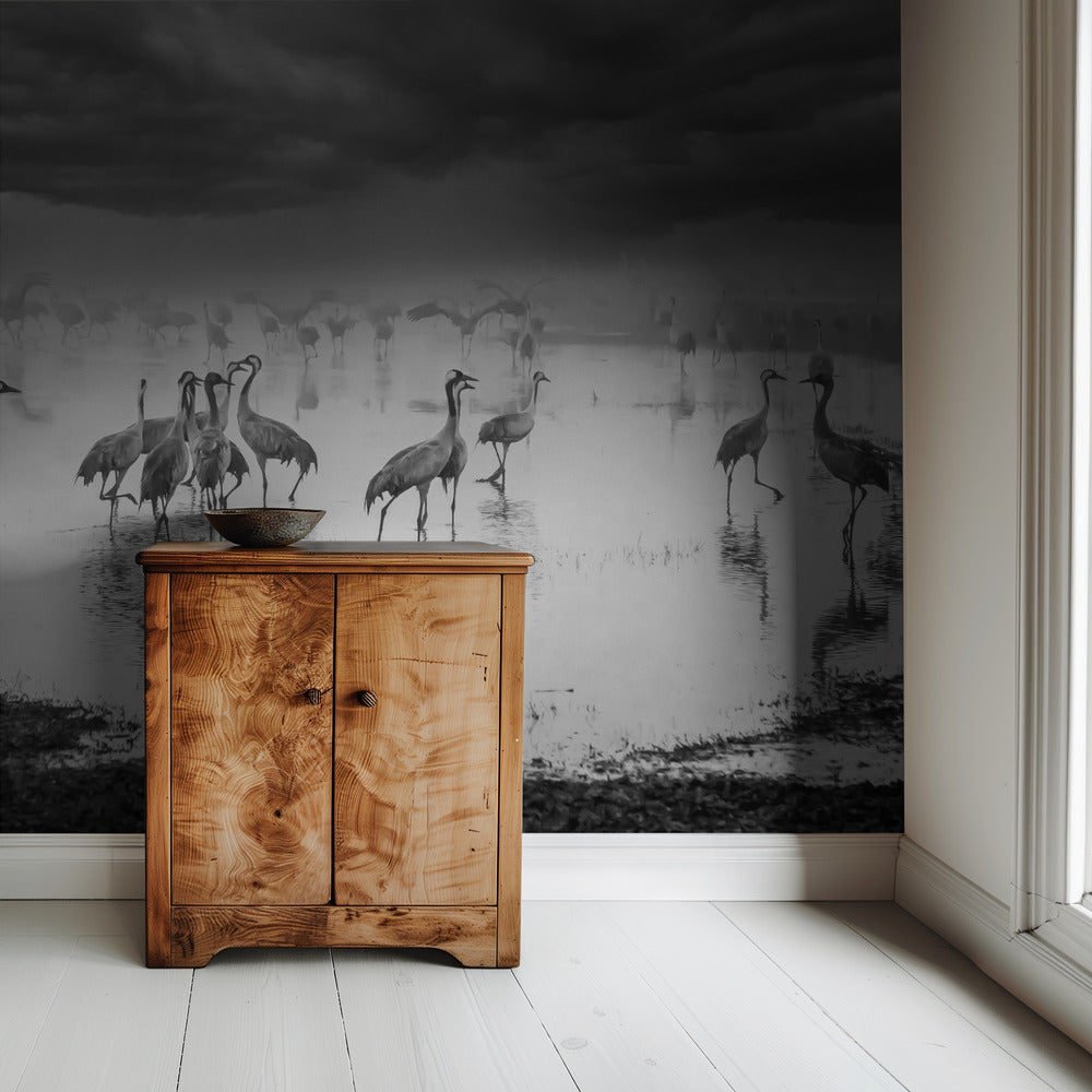 Sunrise on the lake | Wallpaper