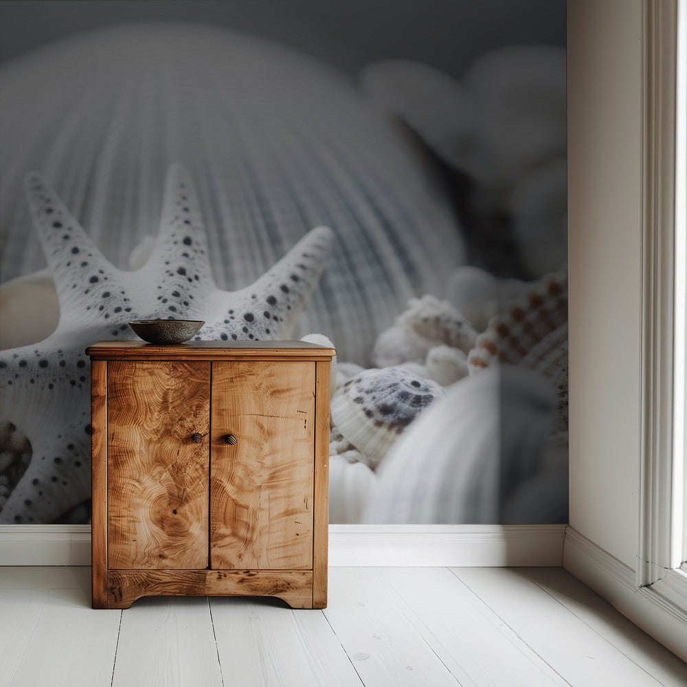 Seashell Symphony | Wallpaper