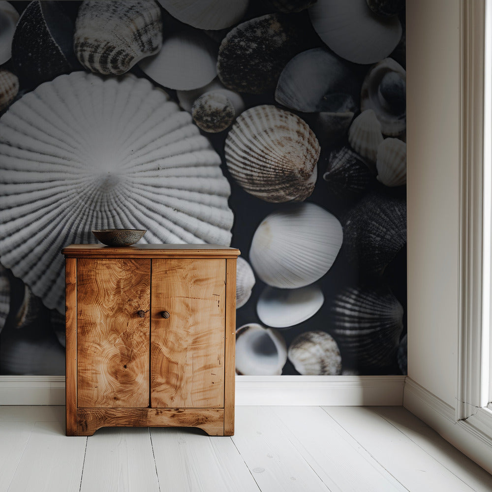 Shell Symphony | Wallpaper