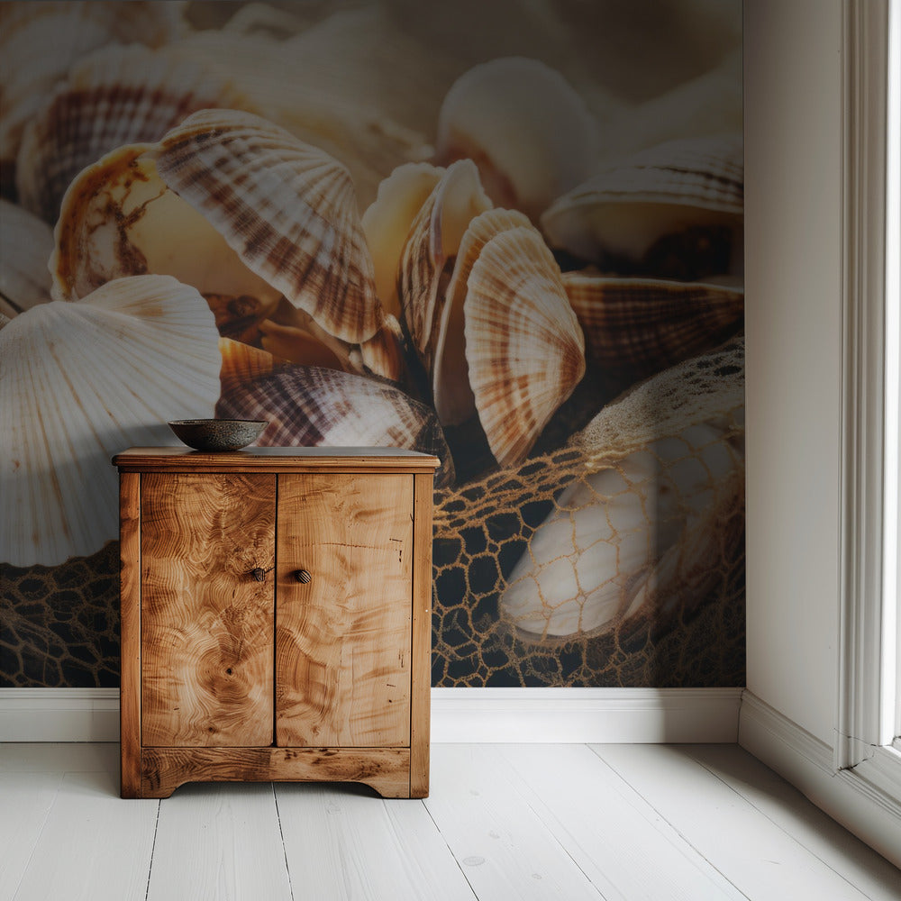 Seashell Symphony | Wallpaper