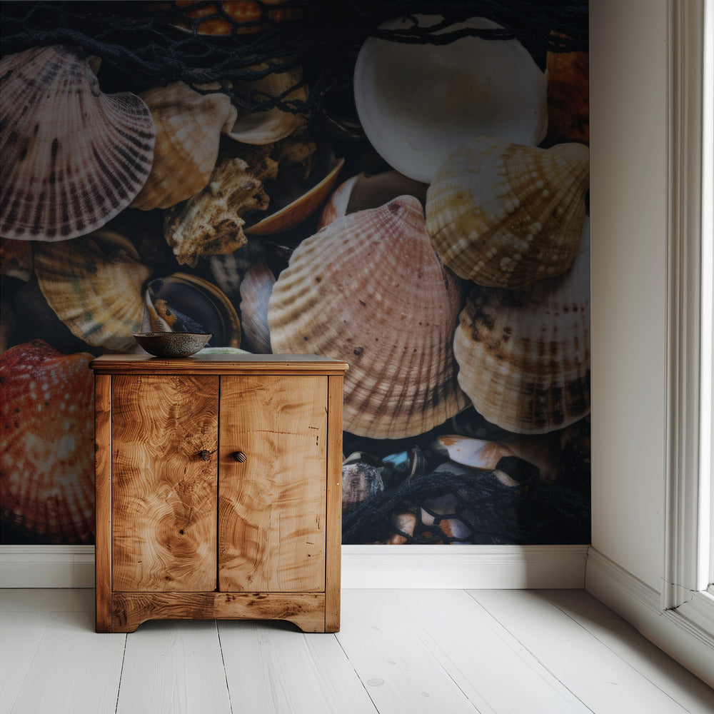 Shell Symphony | Wallpaper