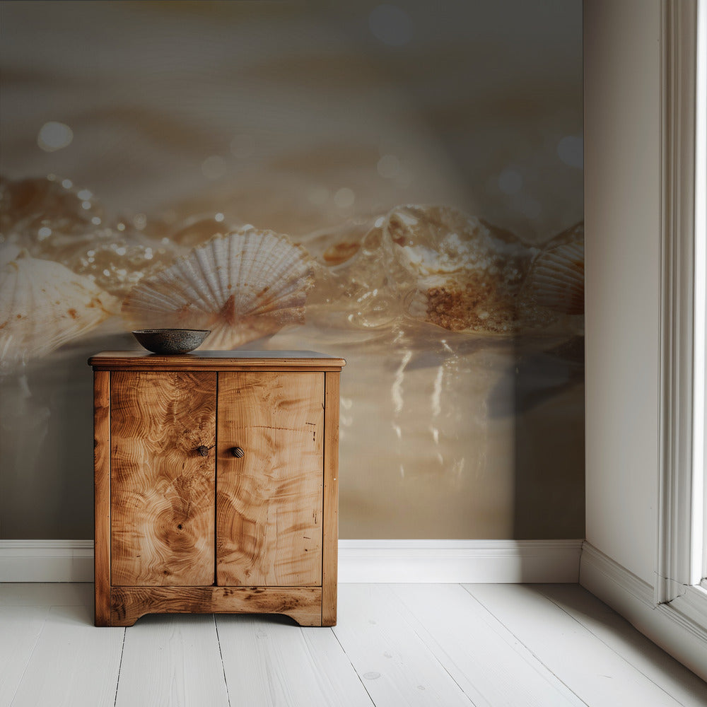Seashell Serenade | Wallpaper