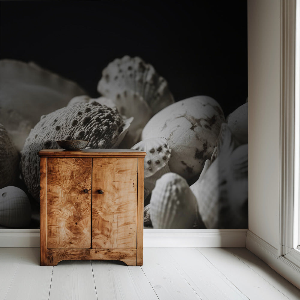 Shell Symphony | Wallpaper