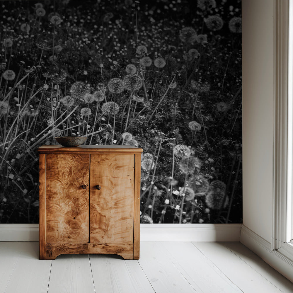 The dandelion field | Wallpaper