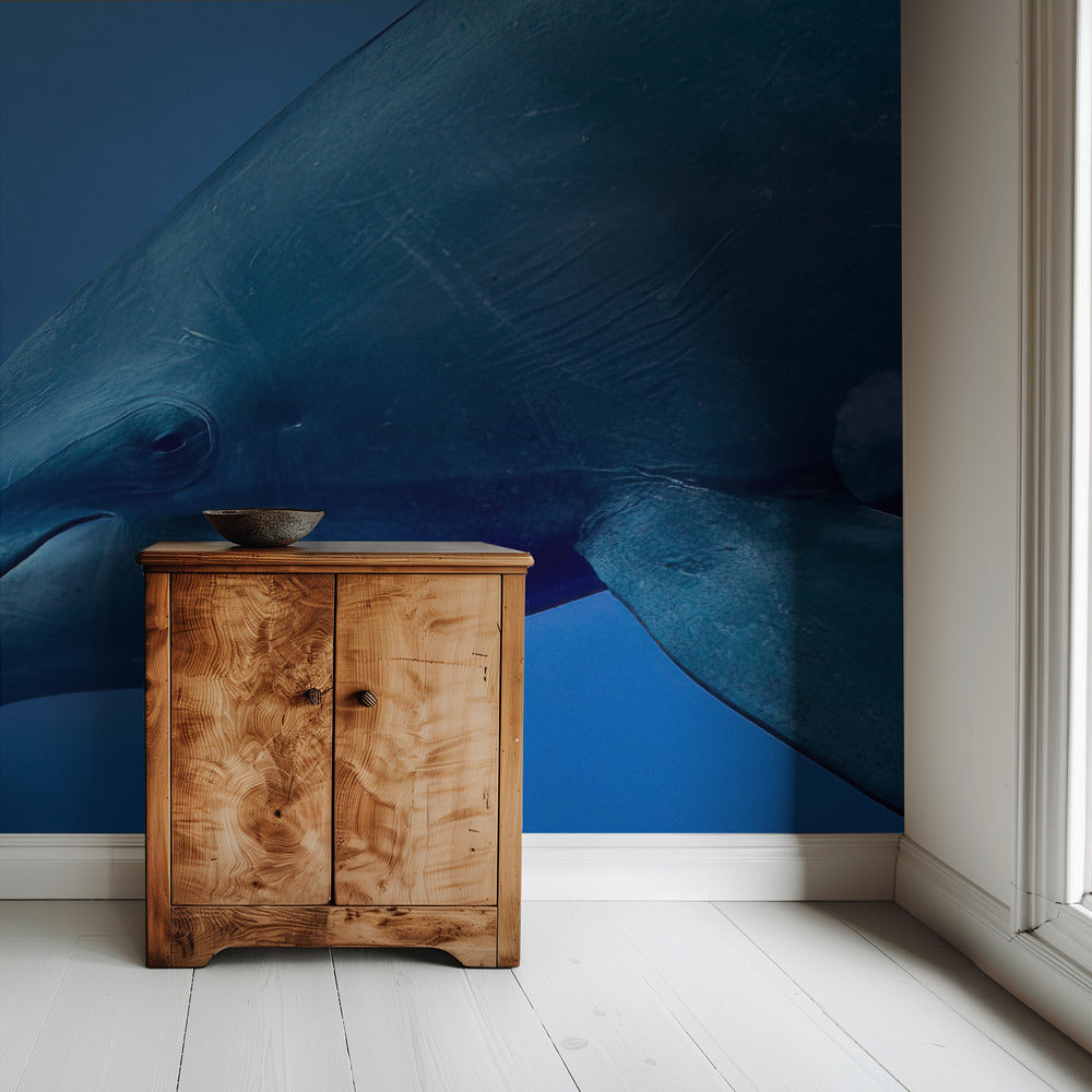 Tursiop Portrait | Wallpaper