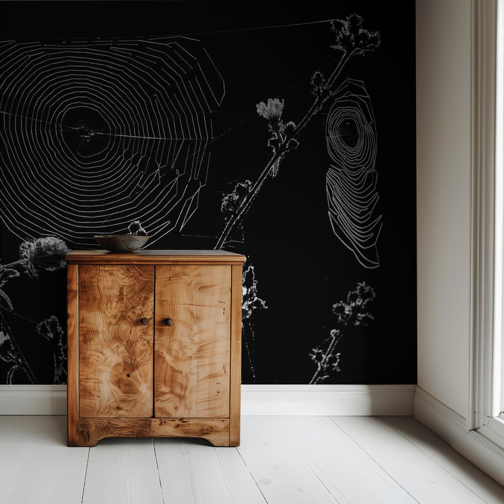 Spider Webs | Wallpaper