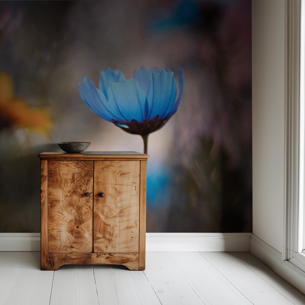 Do you wanna dance with me | Wallpaper