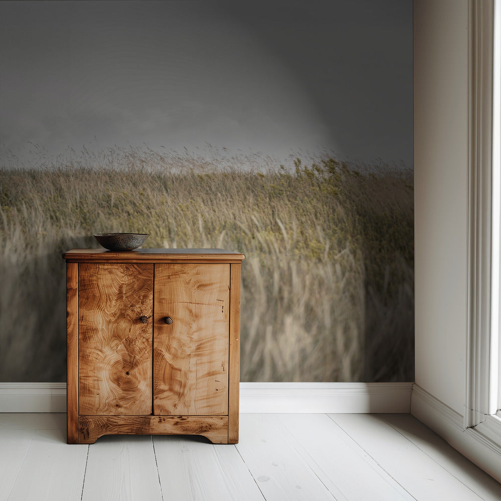 Dunes and Clouds 2 | Wallpaper