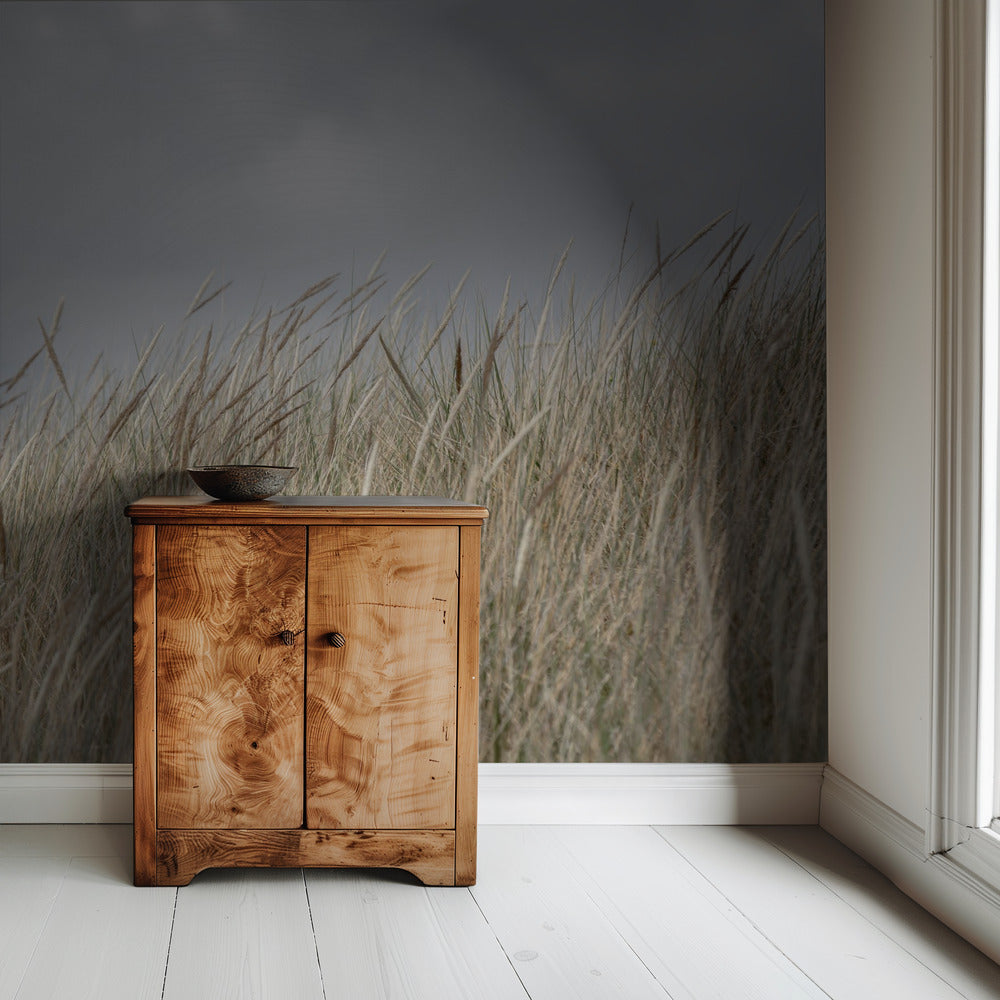 Dunes and Clouds | Wallpaper