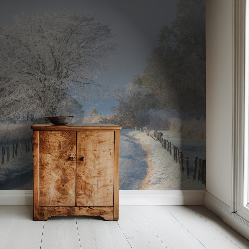 A Frosty Morning | Wallpaper