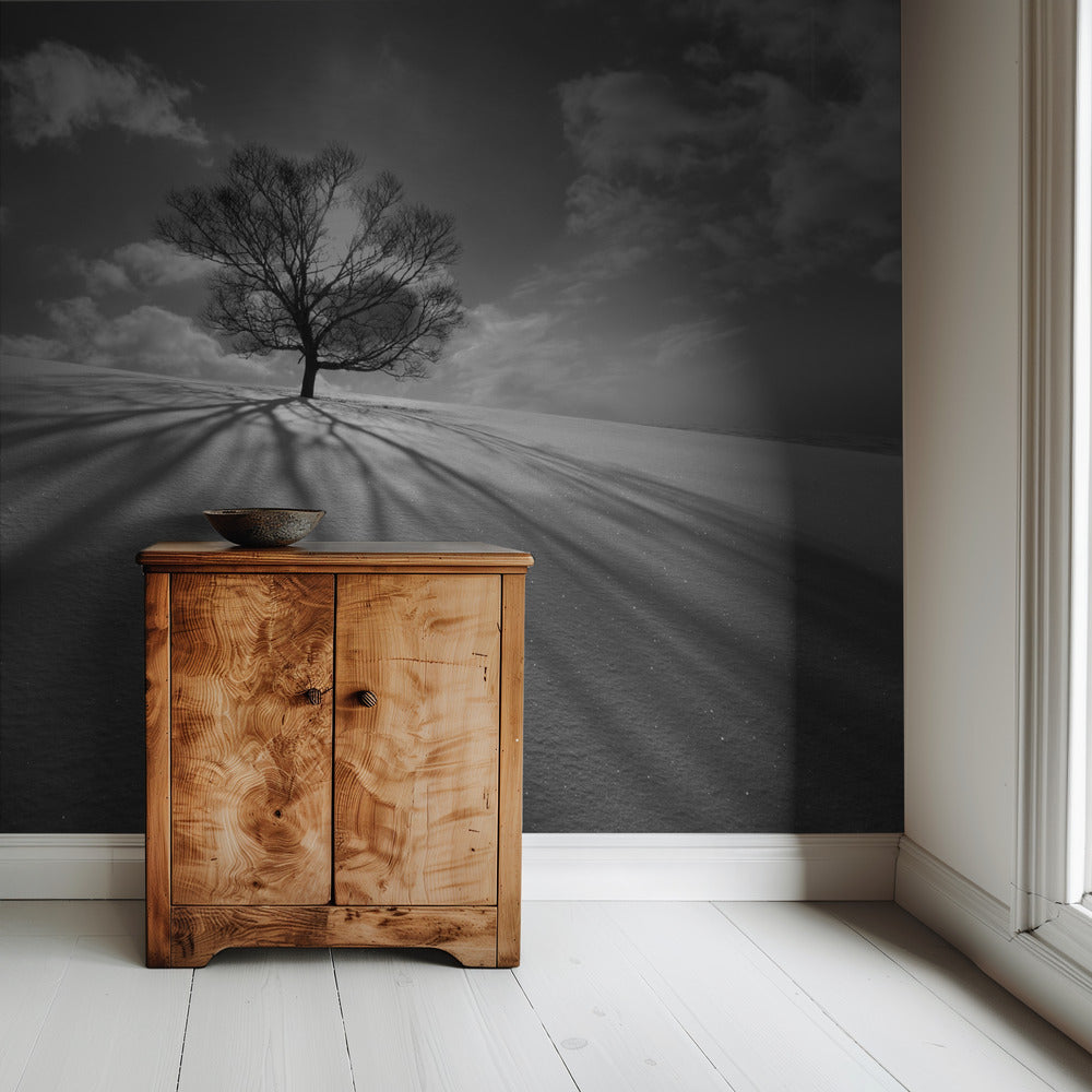 Tree Shadow | Wallpaper