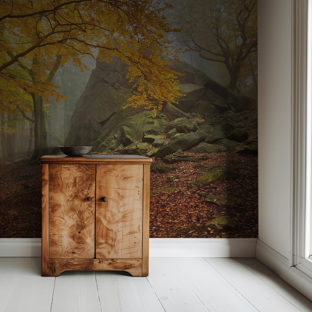 Autumn forest | Wallpaper