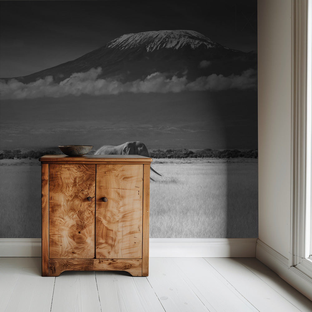 Lost Colors II | Wallpaper