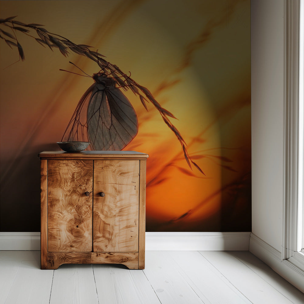 Good night | Wallpaper