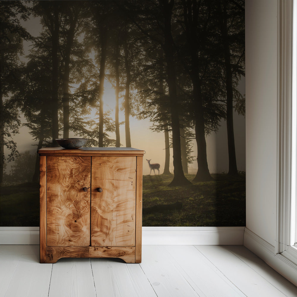 Deer in the morning mist. | Wallpaper