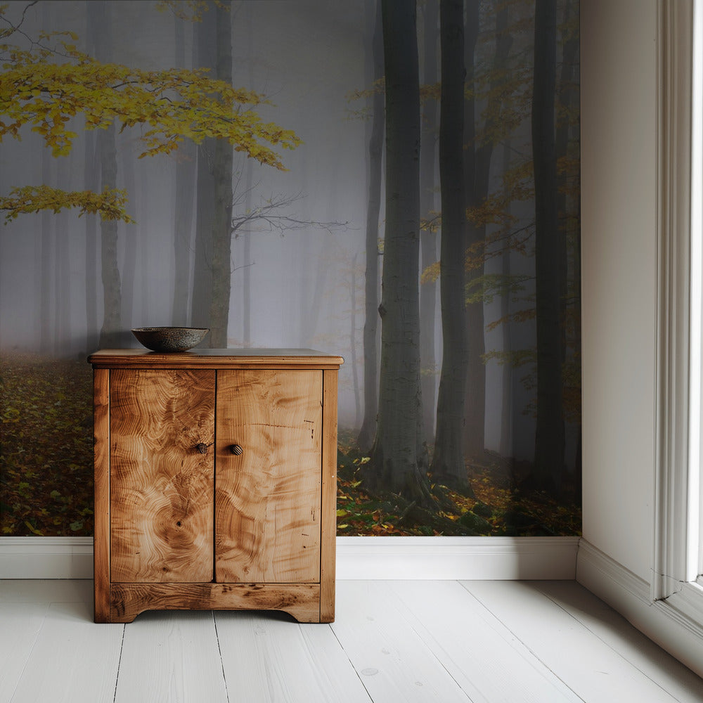 Untitled | Wallpaper