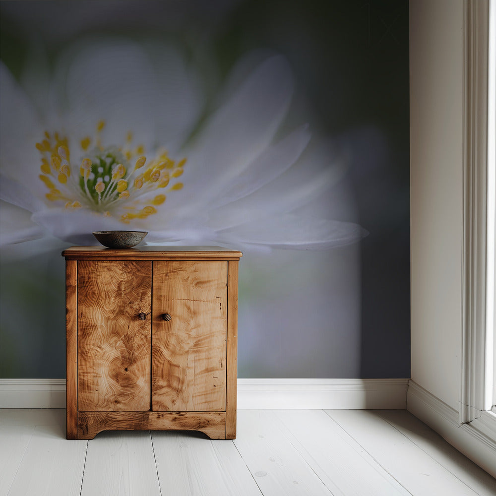 Nemorosa Nirvana | Wallpaper