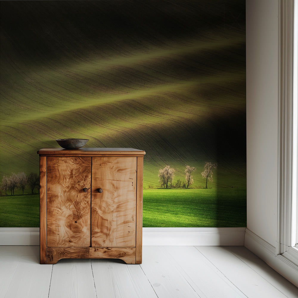 Moravian Fields | Wallpaper