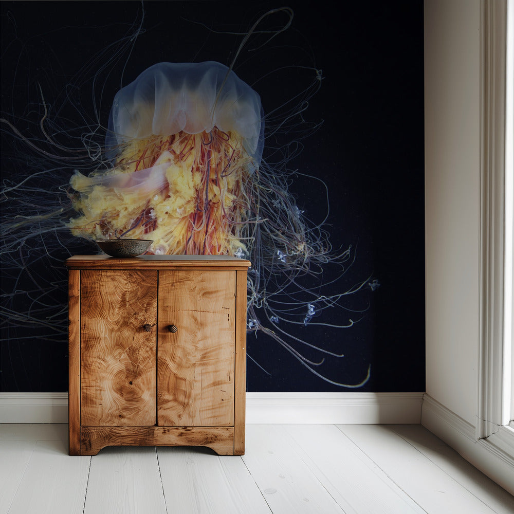 Giant Lion's Mane | Wallpaper