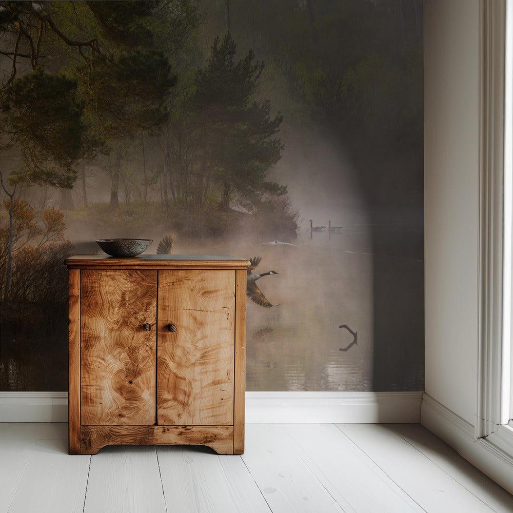 Goose fight | Wallpaper