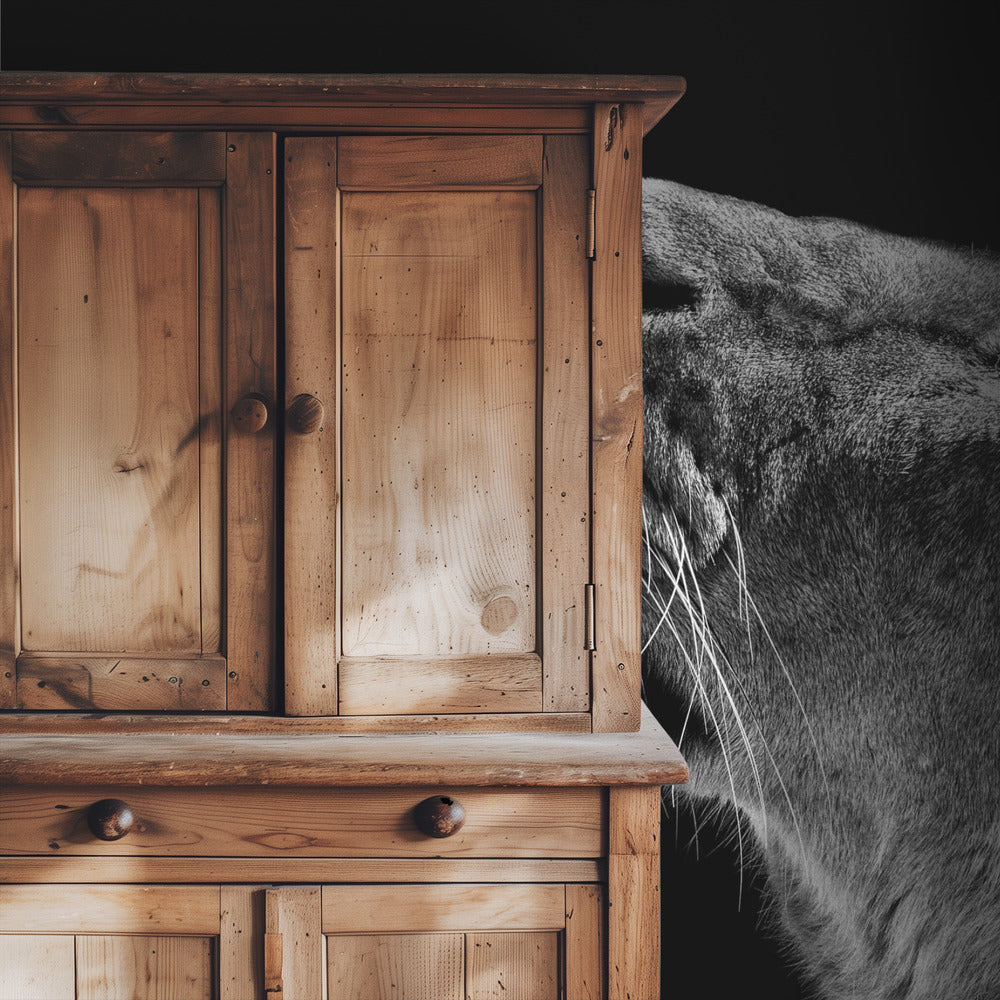 Looking Up | Wallpaper