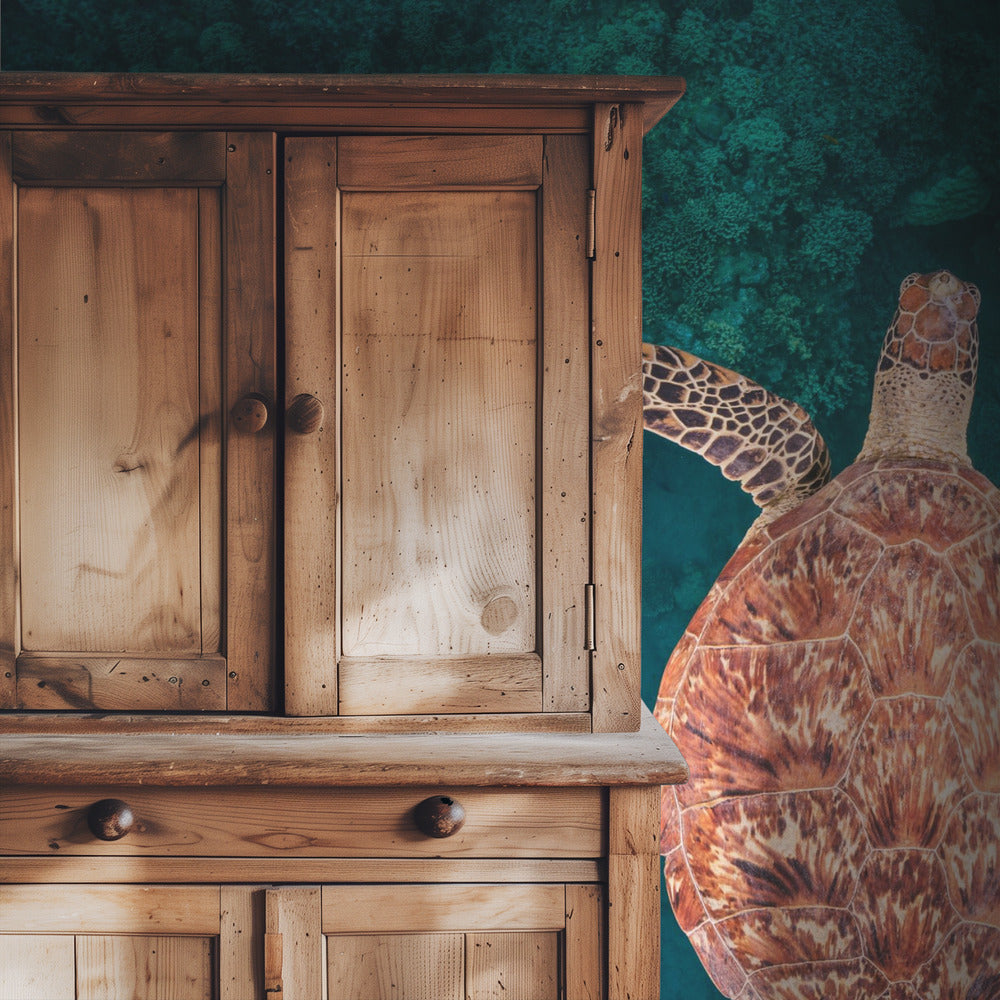 Flying over the reef | Wallpaper